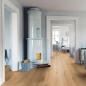 Preview: Parkett Boston Landhaus Breitdiele Eiche XL astig gebürstet geölt - Rohoptik Thede & Witte 