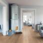Preview: Parkett Boston Landhaus Breitdiele Eiche XL astig handgehobelt geölt - Rohoptik Thede & Witte 