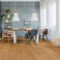 Preview: Parkett Euro Landhausdiele Eiche XL natur gebürstet geölt Thede & Witte 