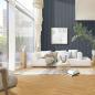 Preview: Ufereiche honig 07127 Fischgrät - MeisterDesign. laminate LS 350