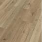 Preview: Natural Oak 06675 Dielenmix - MeisterDesign. laminate LC 55 S