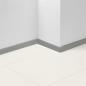 Preview: Parador Sockelleisten SL 3 D001 Edelstahl