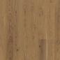 Preview: Parador Parkett Trendtime 4 Eiche nougat Living Landhausdiele lackversiegelt matt